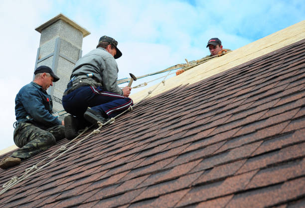 Roof Gutter Cleaning in Fort Drum, NY
